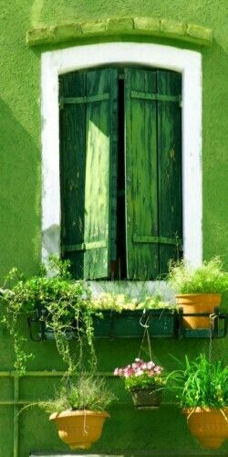 Pantone Vert Greenery la couleur de l’année 2017