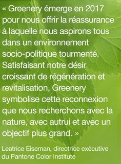 Pantone Vert Greenery la couleur de l’année 2017