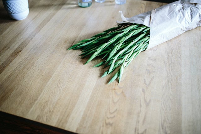 appartement Melanie Jasmin Jeske Melodie MichelBerger