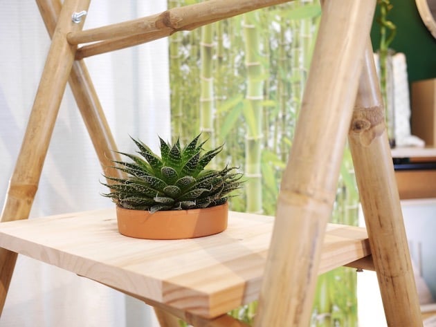 étagère percée pour pot de fleurs plante aromathique