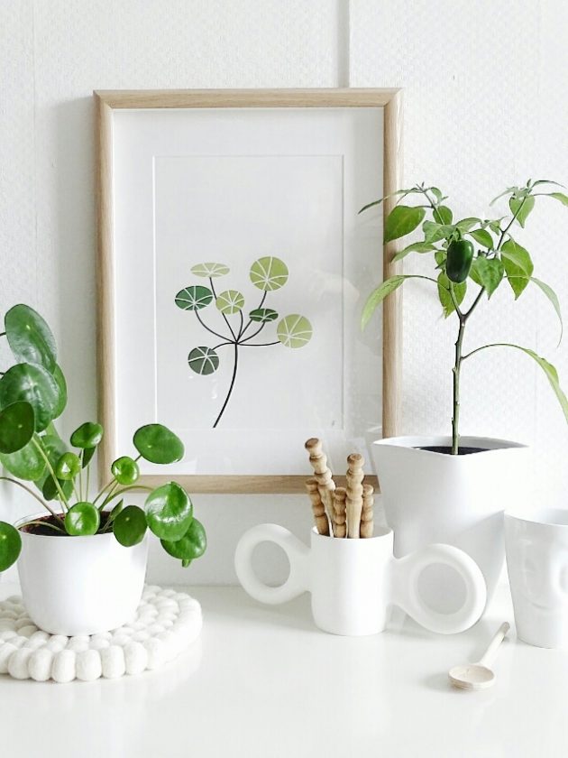 dessin pilea peperomioides decoration blanche etagere salon