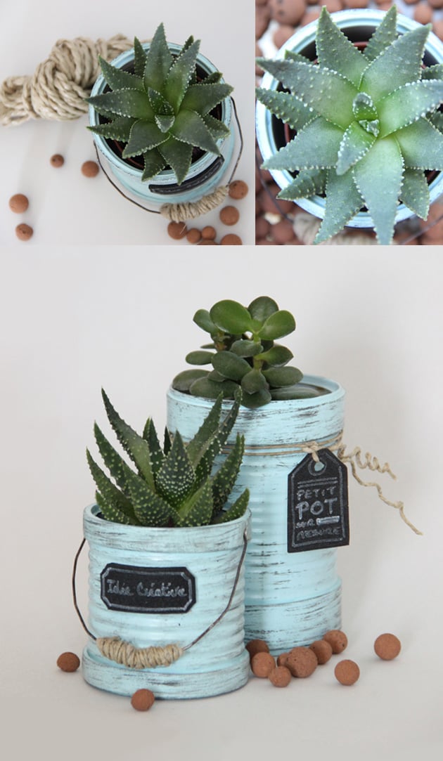 objet détourné cache pot cactus bocal