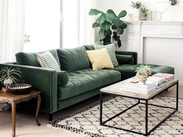urban jungle blogger salon canapé en velours