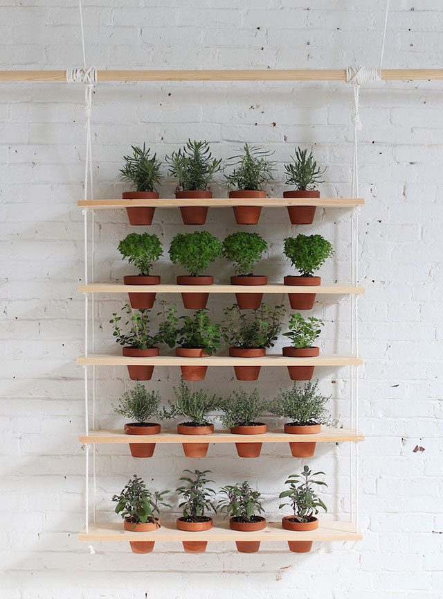 jardiner en appartement etagere a plantes aromatiques diy