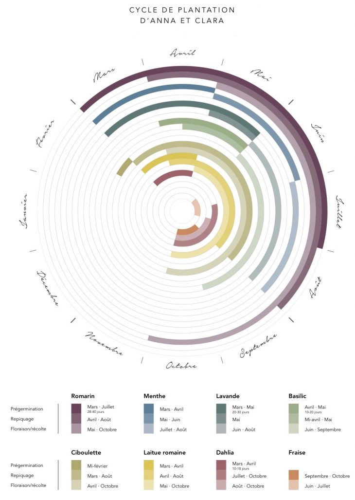 date mois cueillette recolte plantation herbe aromatique menthe ciboulette laitue