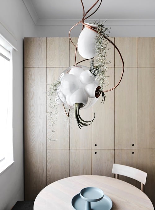 australian interior design awards 2017 clemaroundthecorner