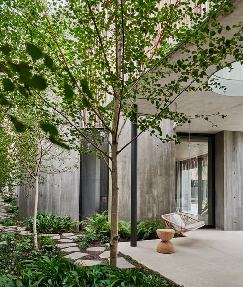 Leeton Pointon Architecture + Interiors, and Allison Pye Interiors for Twig House