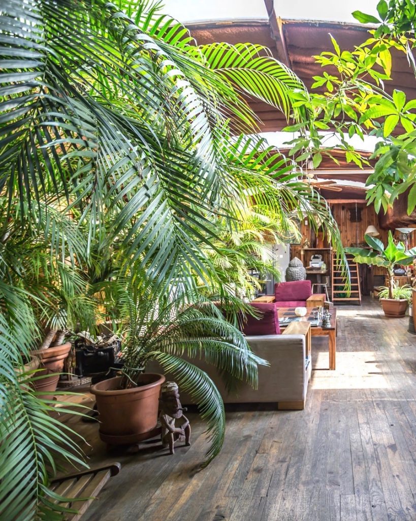 espaces atypiques immobilier deco urban jungle peniche