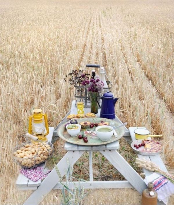 pique nique champetre dans les champs de ble