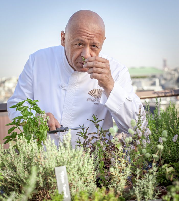 thierry marx rooftop potager toit de Paris