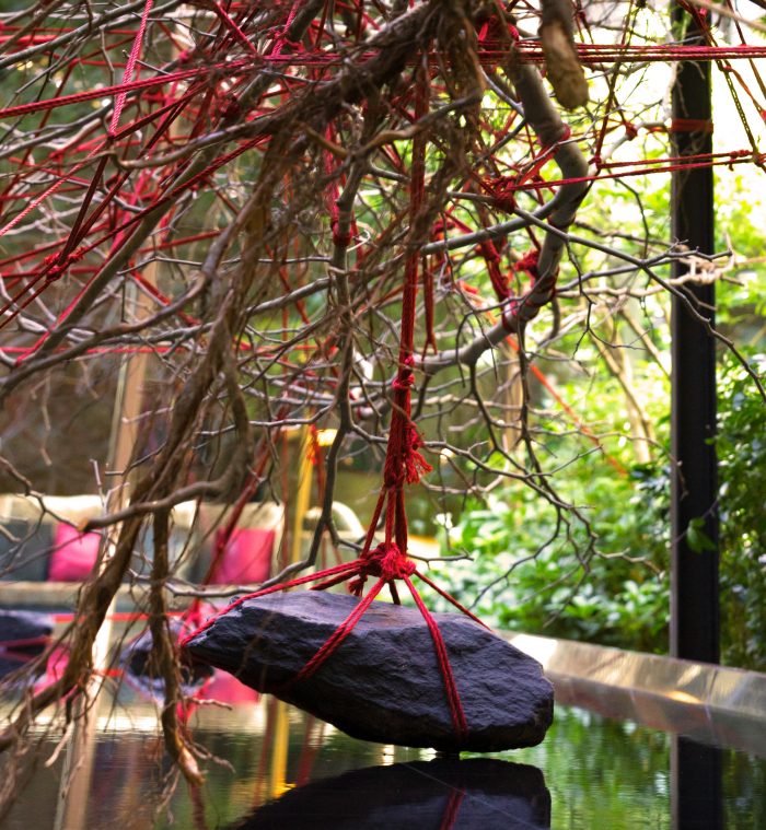 christophe gautrand blog noeud mandarin arbre tronc