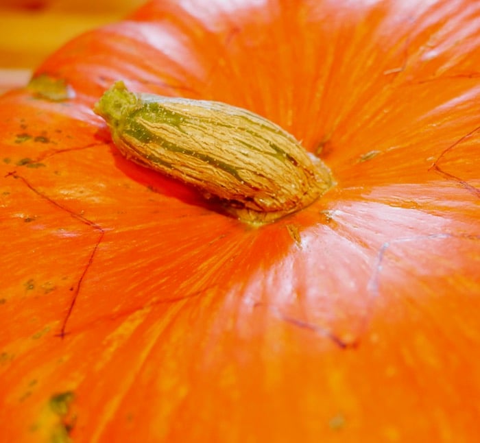 personnaliser ses citrouilles halloween