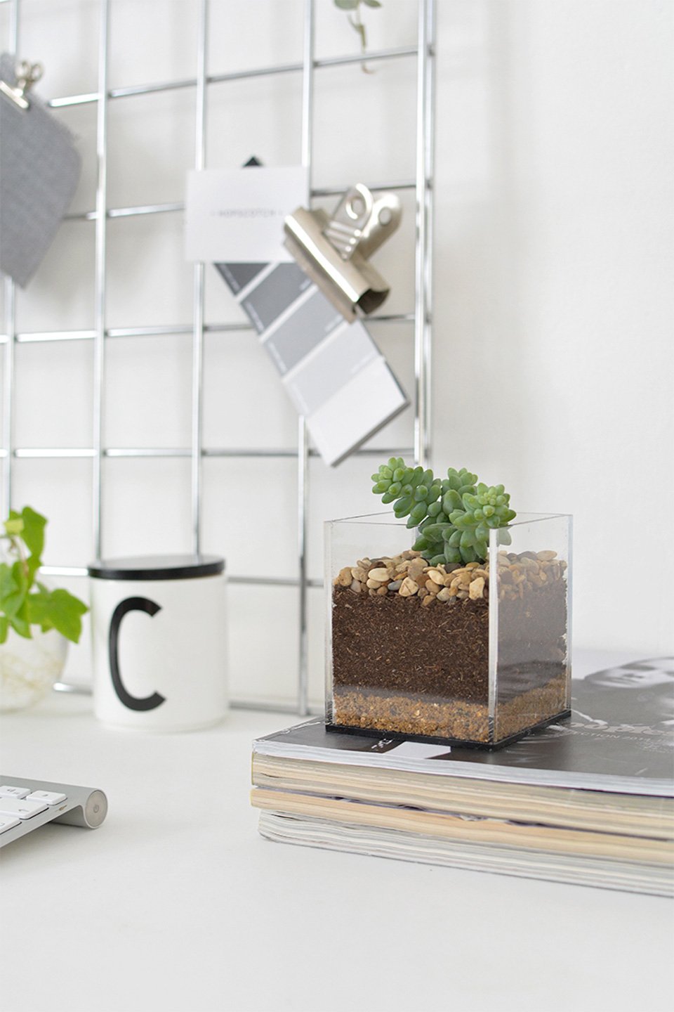 terrarium a faire soit meme dans vase récup carré facile