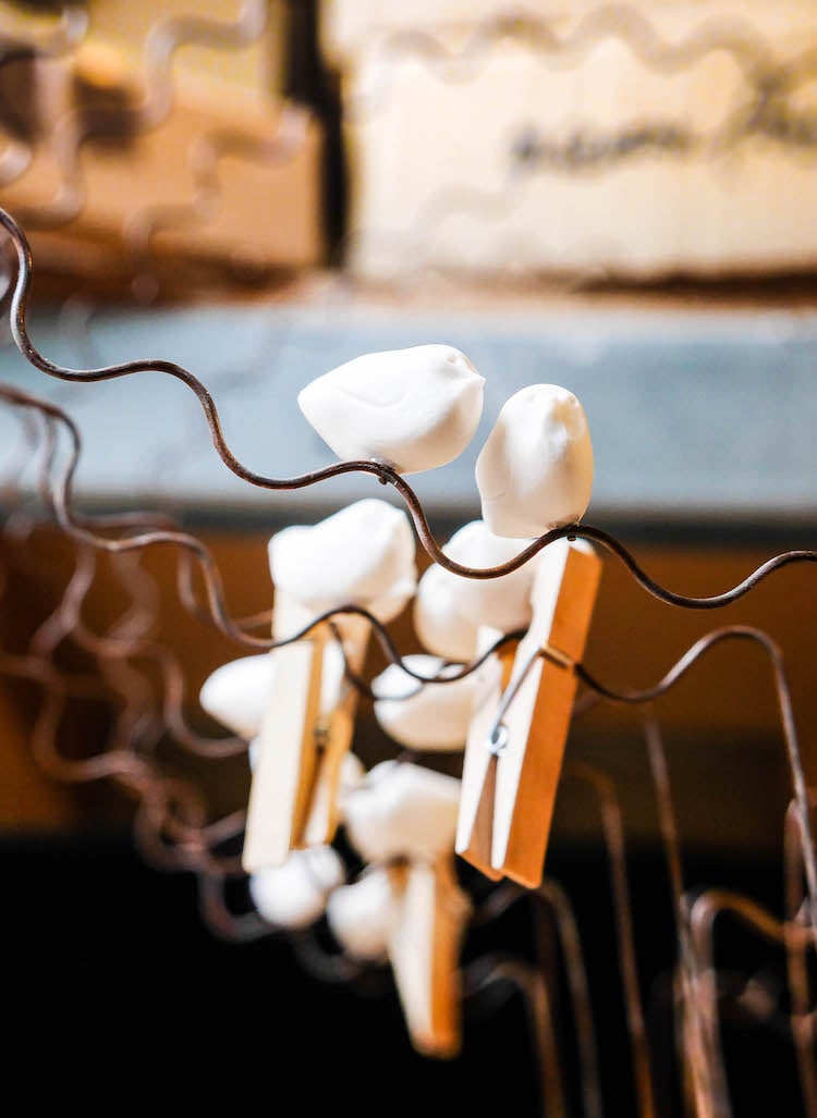 laurent trebout oiseaux serie