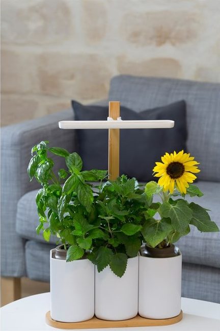 decorer son interieur pour hiver potager appartement test lilo