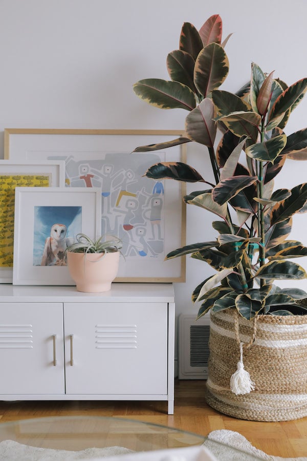 meuble buffet métal blanc ikea plante intérieur caoutchouc