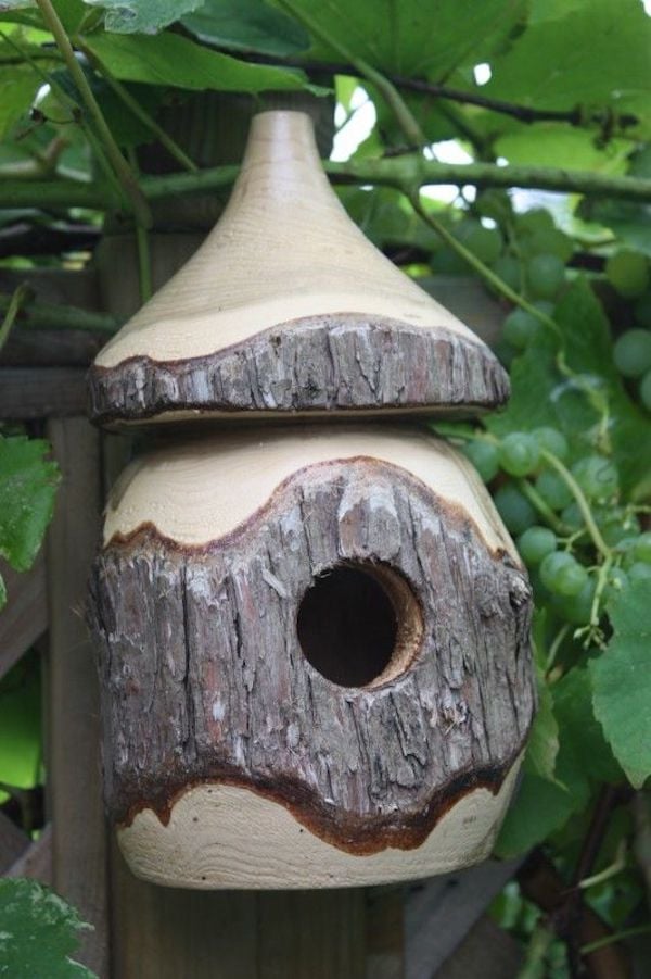 que faire avec un morceau de tronc d'arbre mangeoire oiseaux bois brut arbres