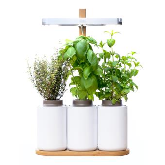 Potager d interieur Lilo Pret a Pousser avis chez moi blogueuse déco