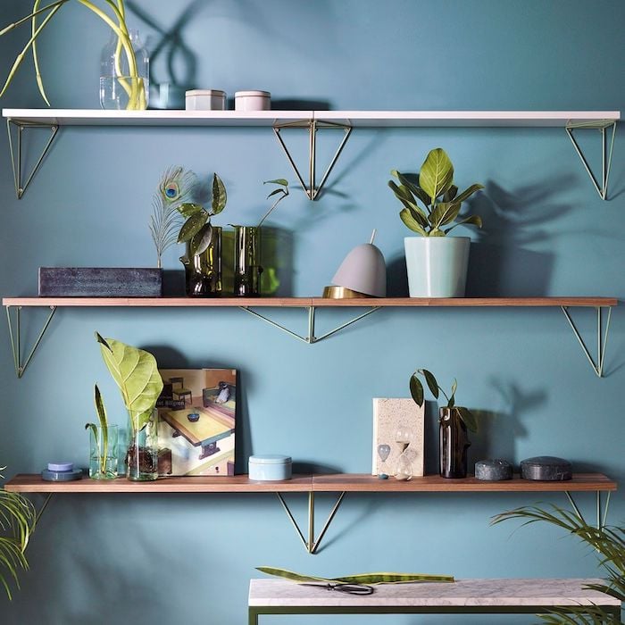 maze interior bleu pythagoras plantes étagère