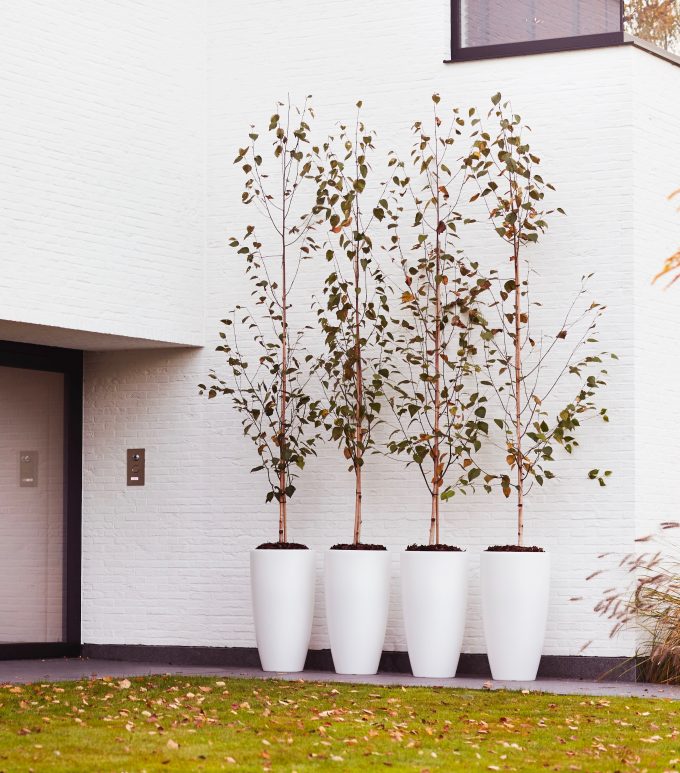 elho pot plante geant rond arbre lumineux avis blog déco clemaroundthecorner