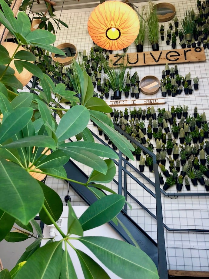 zuiver design hollandais meubles mur végétal cactus suspendu palmier escalier loft - Blog déco - Clem Around The Corner