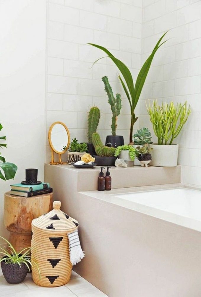 salle de bain theme nature nature urban jungle baignoire grise cactus panier rotin osier - Blog déco - Clem around the corner