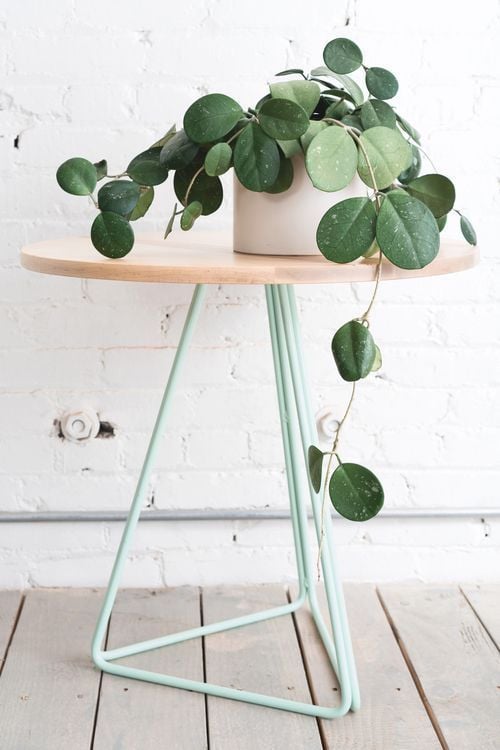 aménager 20m2 plante verte tabouret bois design décoration intérieur blog déco