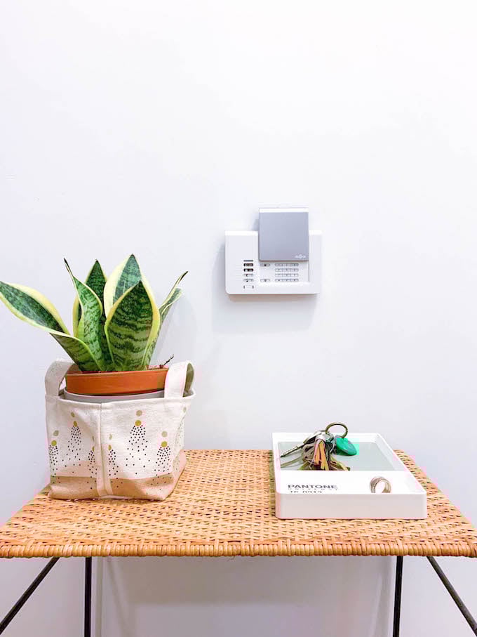 diagral e one entrée alarme connectée sécurité plante table rotin blog déco clem around the corner