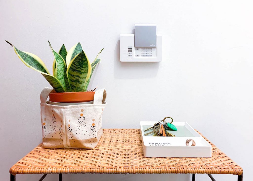 diagral e one alarme connectée sécurité entrée plante mur blanc blog déco clem around the corner