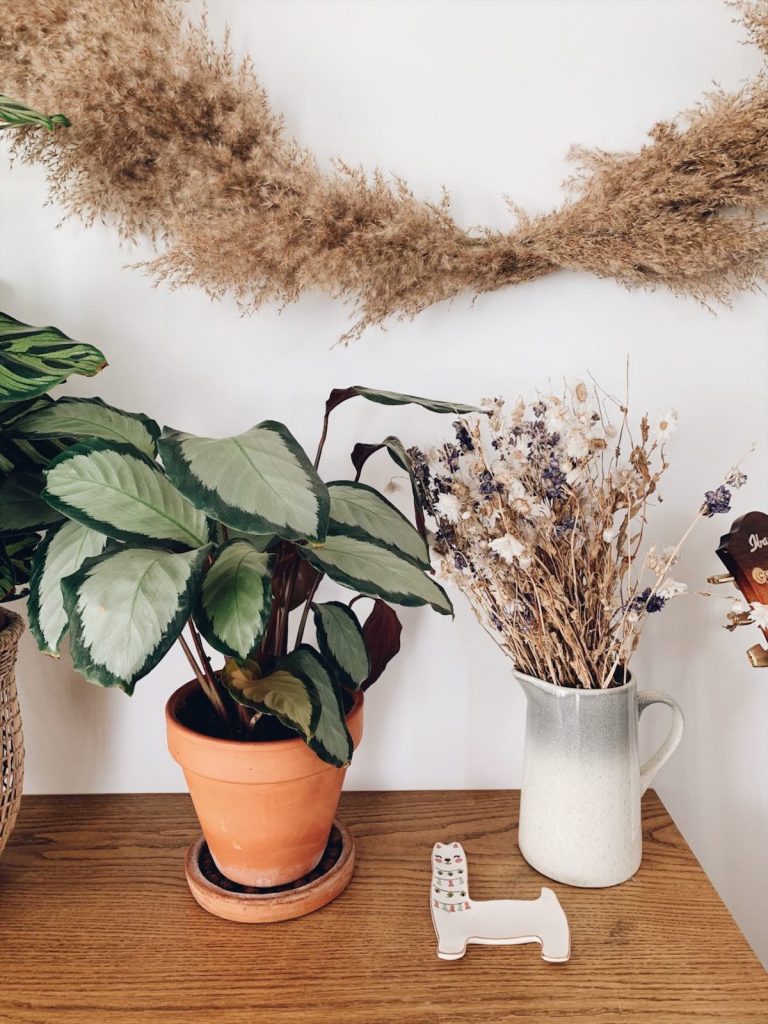 l'herbe de la pampa meuble bois fleurs séchées blog déco clem around the corner