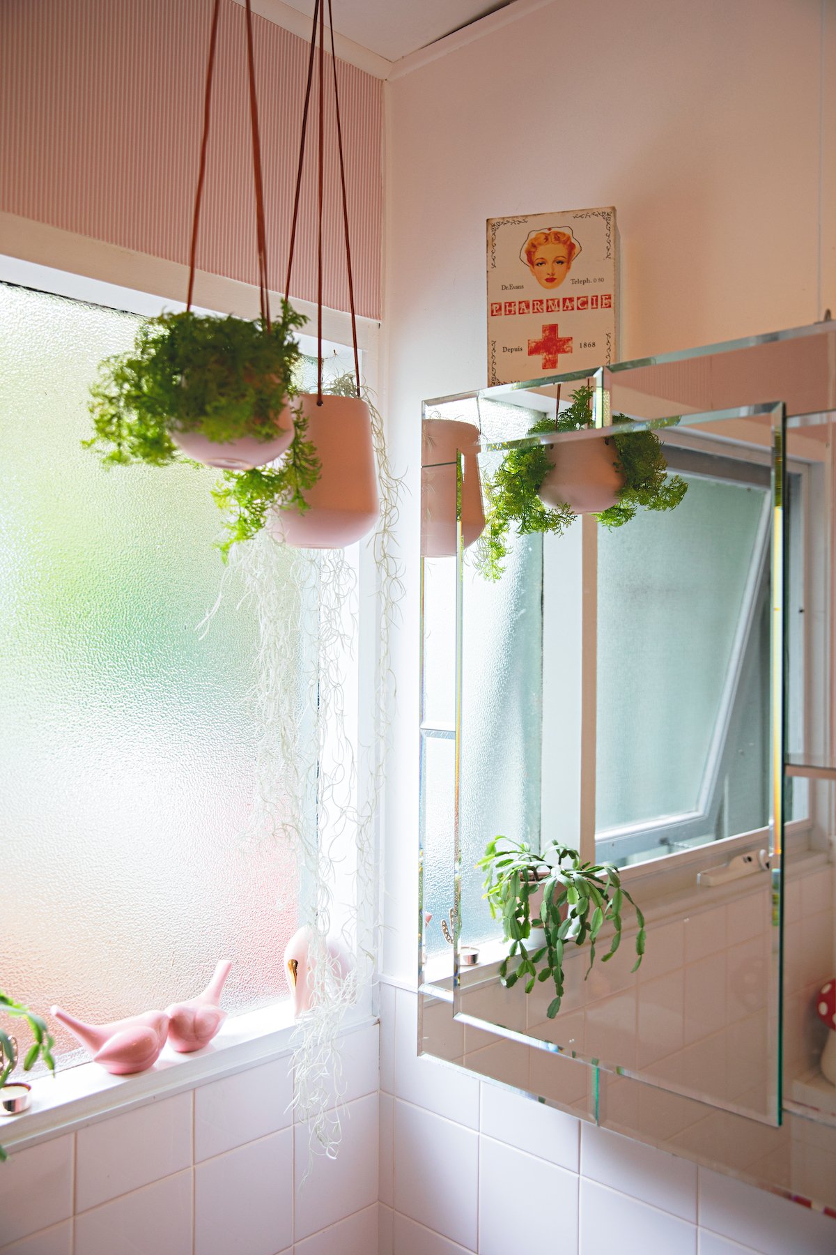 maison rétro australie plantes rose vert - blog déco - clem around the corner