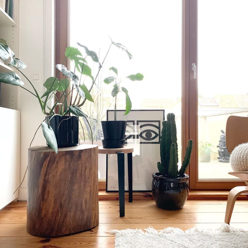 pierre papier ciseaux plantes bois nature - blog déco - clem around the corner