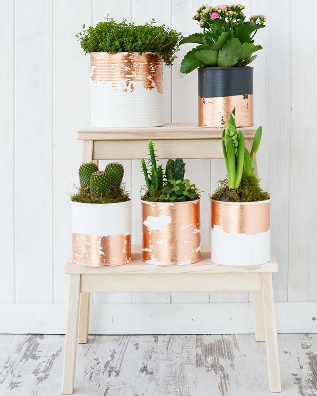 zéro déchet cache pot boite conserve recyclé blanc cuivre cactus tabouret bois - blog déco - clem around the corner