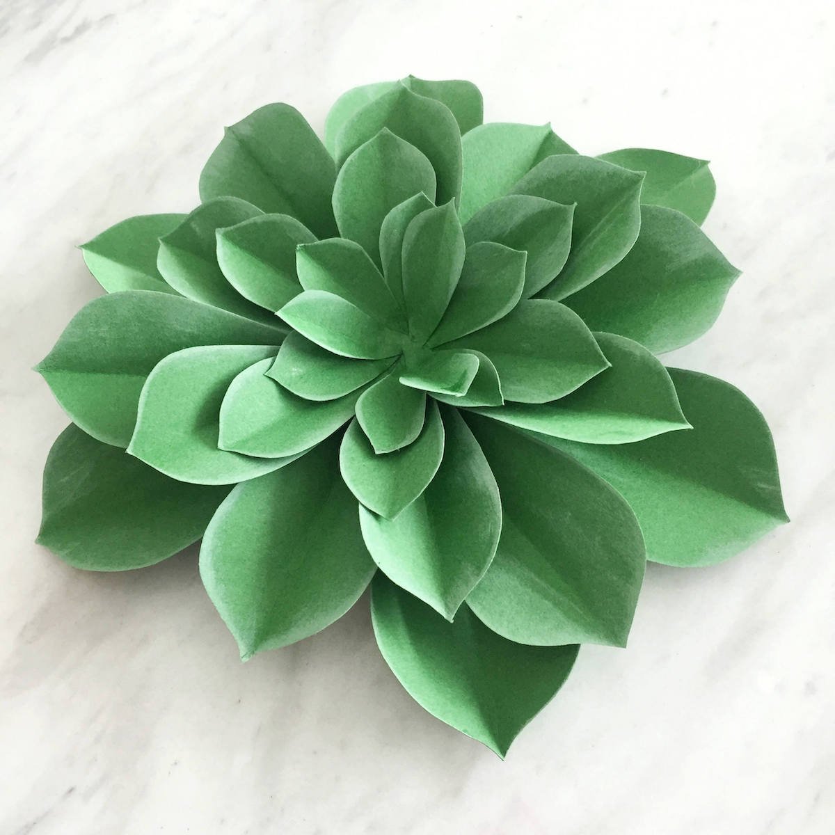 plante grasse en feutrine artificielle