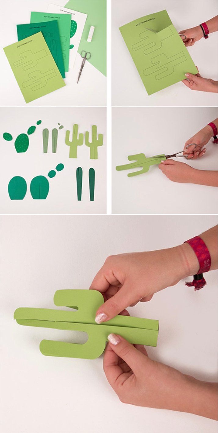plante en papier cactus découpage imprimable gratuit patron - blog déco - clem around the corner
