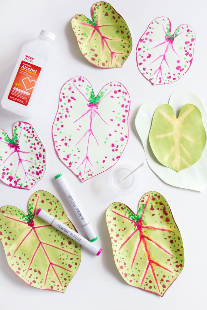plante en papier diy feuilles colorées - blog déco - clem around the corner