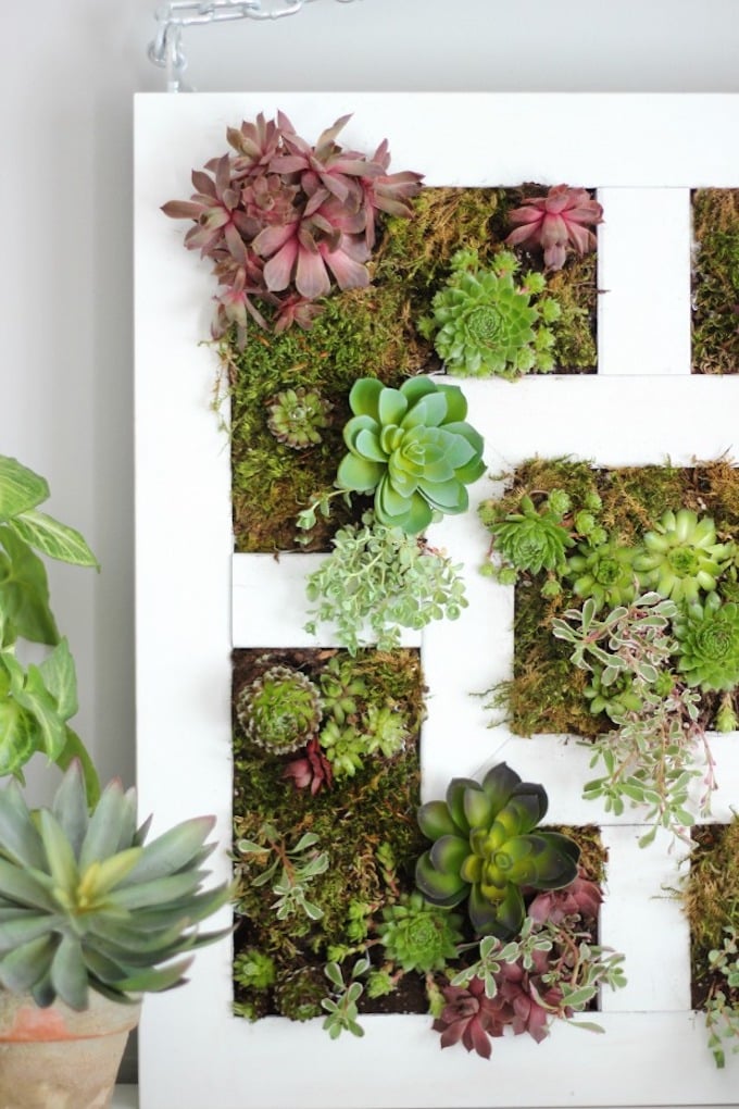 lack ikea hack table basse transformation jardin vertical - blog déco - clem around the corner