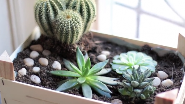 idée déco récup jardin cagette bois plantes - blog déco - clem around the corner