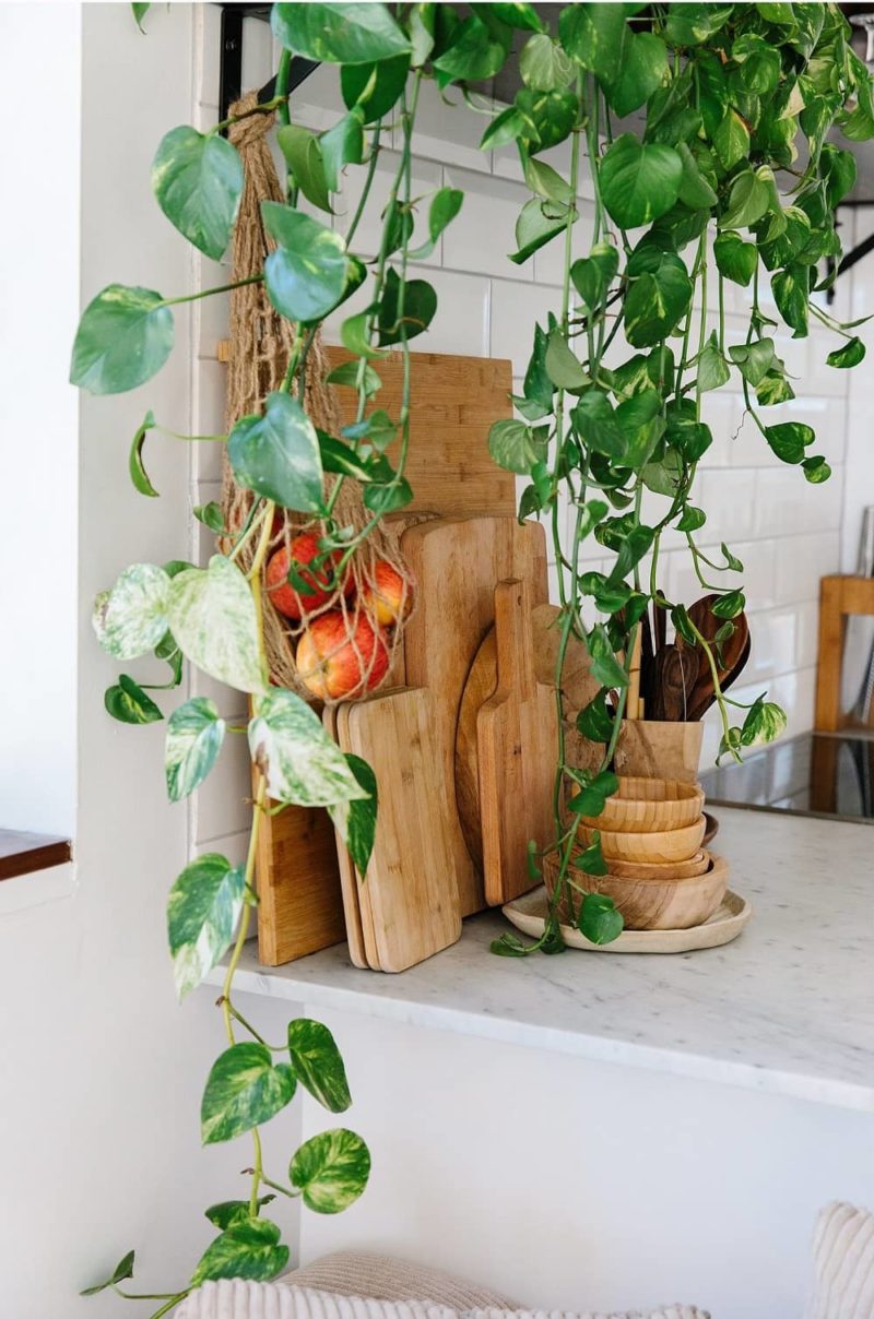 blog déco plante verte cuisine planche bois maison nature zen
