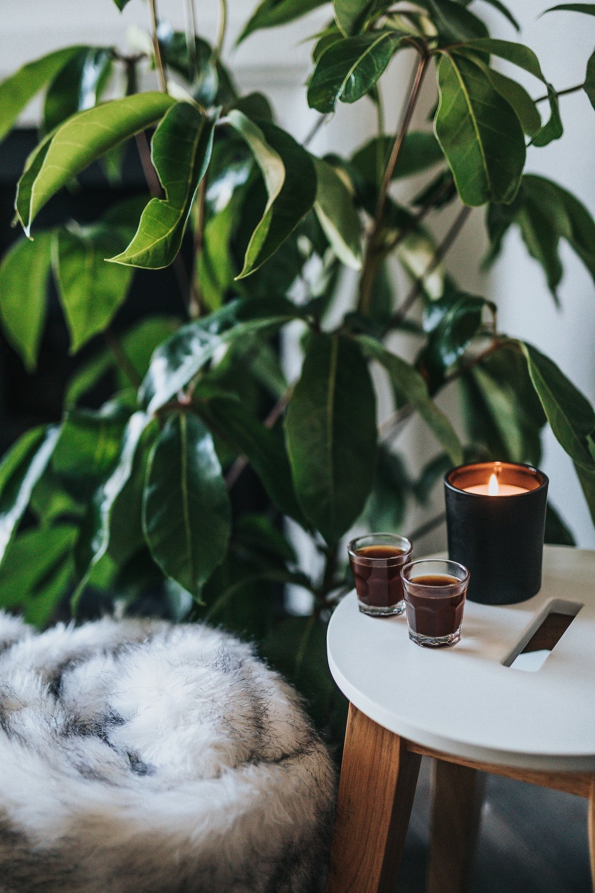 déco scandinave épurée plante verte table bois bougie plaid fourrure - blog déco