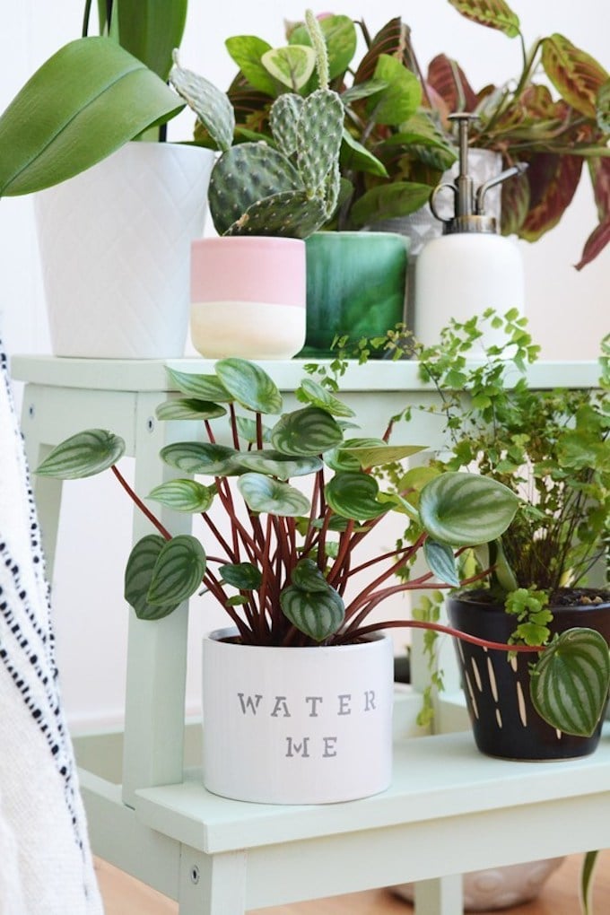 marche pied ikea tabouret pour plante vert jade pot de fleurs blanc noir - blog déco - clem around the corner