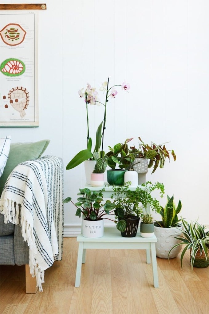 marche pied ikea tabouret plante vert menthe style urban jungle - blog déco - clem around the corner