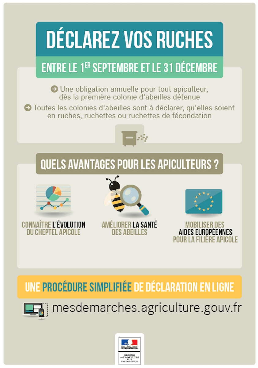 Déclarez vos ruches entre le 1er septembre et le 31 décembre sauver les abeilles clemaroundthecorner