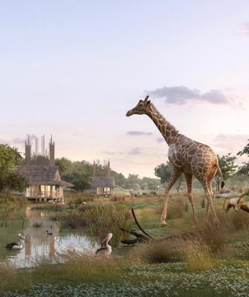 girafe animaux de la savane lodge vue sur la nature africaine clemaroundthecorner