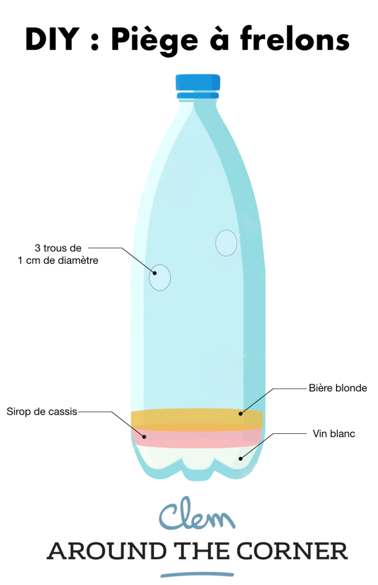 diy piège à frelons bouteille à mettre dans son extérieur jardin protéger les abeilles - blog déco - clemaroundthecorner