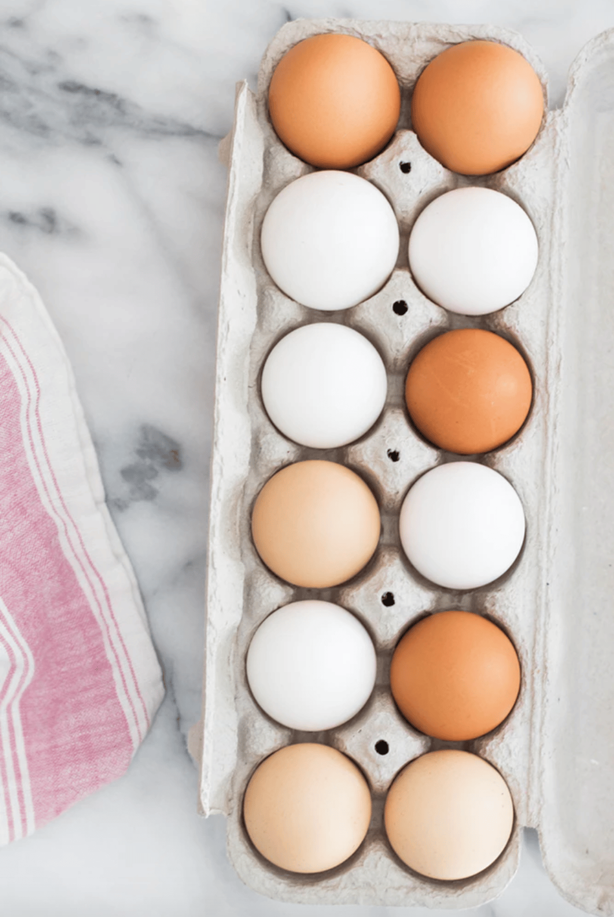 coquille oeuf pour protéger vos plantations des escargots limaces - blog déco - clemaroundthecorner