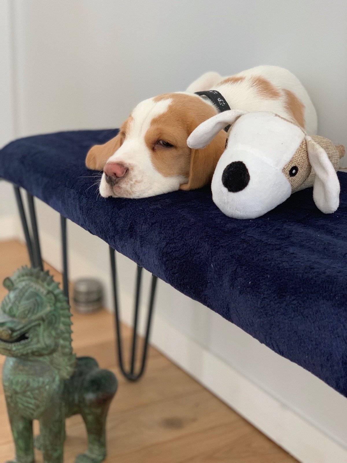 ripaton idée meuble diy bricolage facile chaise design