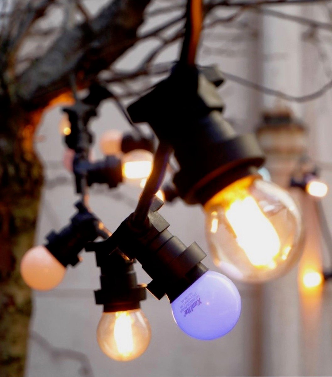 guirlande ampoules noire et 10 ampoules lumineuses blanches chaude décoration extérieure coloré clematc