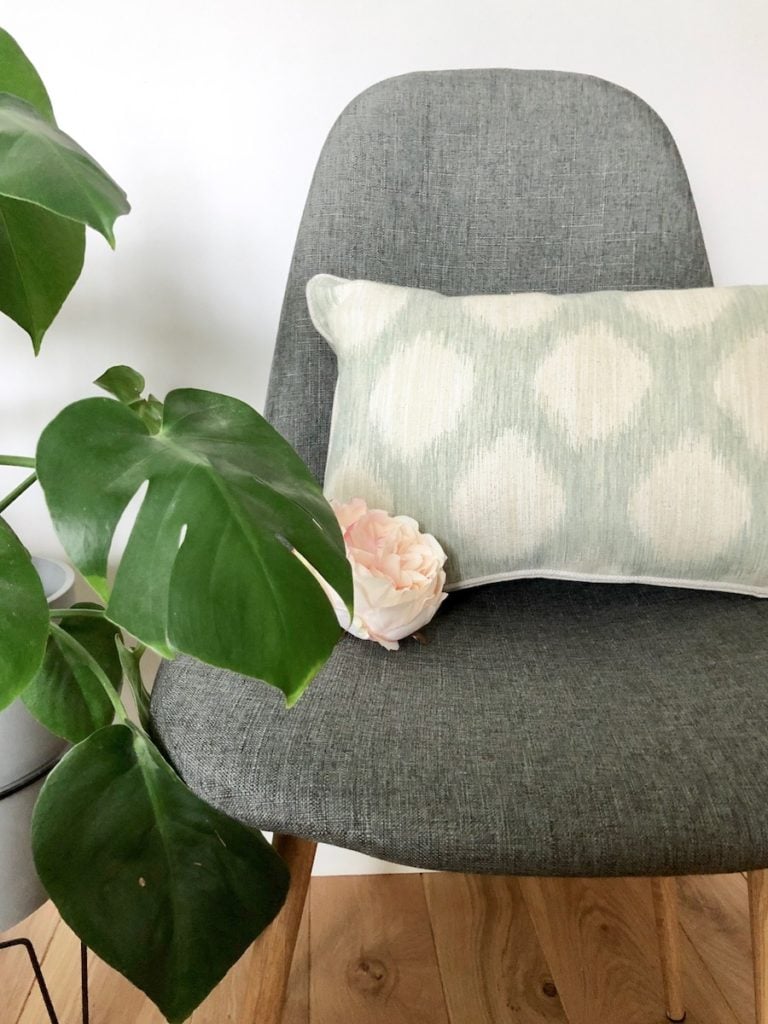 coussin chaise grise plante verte monstera fleur pivoine clematc