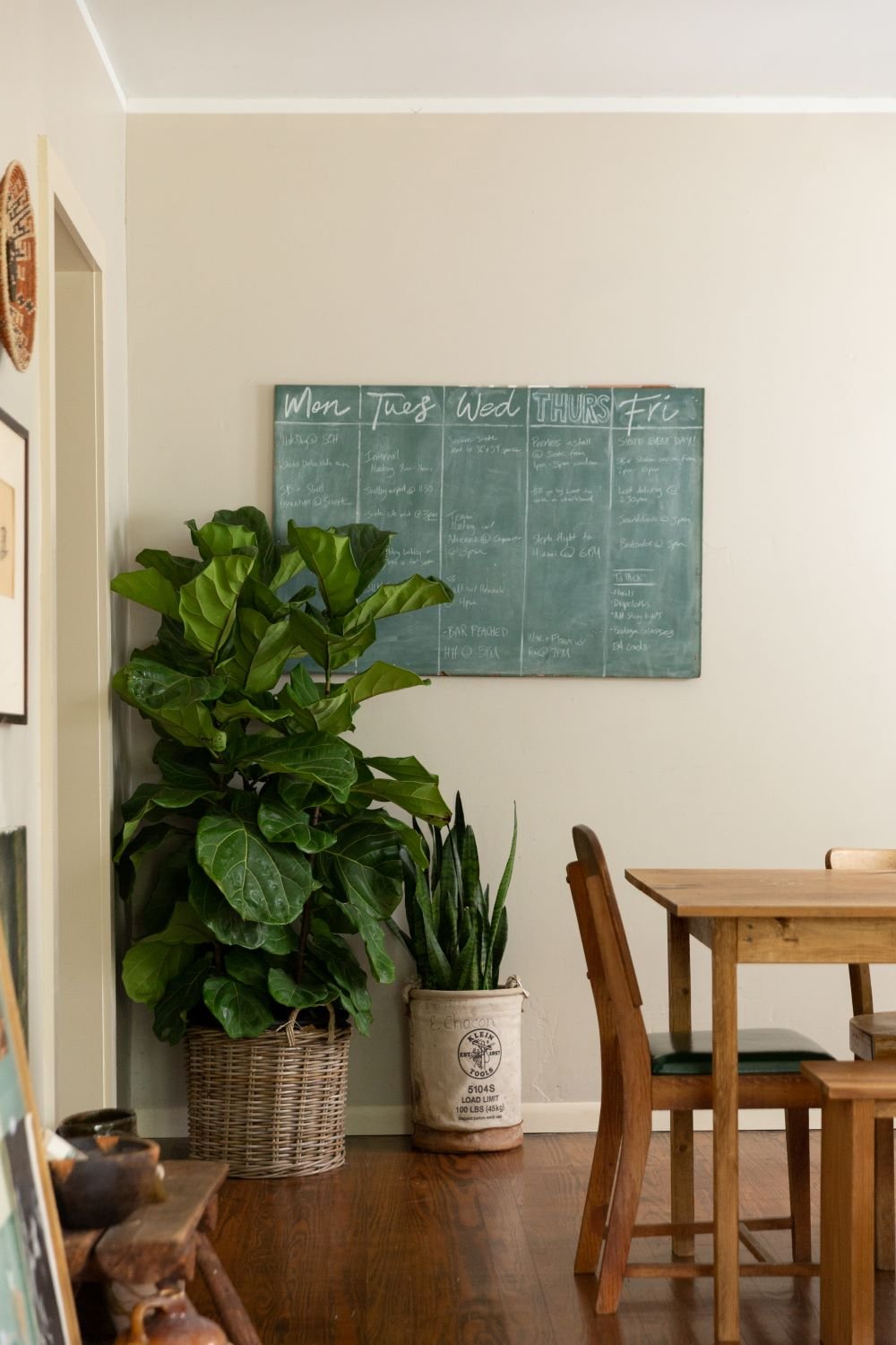 séjour texan tableau à craies vert plante parquet bois
